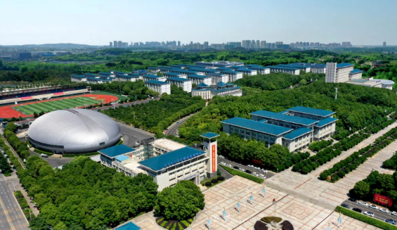 助力高等教育创新升维，8868体育交付“满分答卷”